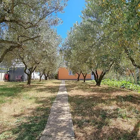 Mediterranes Studio-apartment Mit Liegewiese, Grillbereich Und Hundefreundlich *